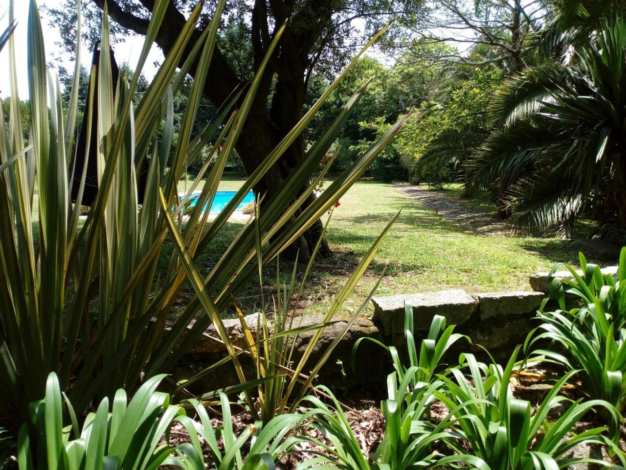 No Meio Da Natureza - Turismo No Espaco Rural Vila Nova de Famalicao Exterior photo